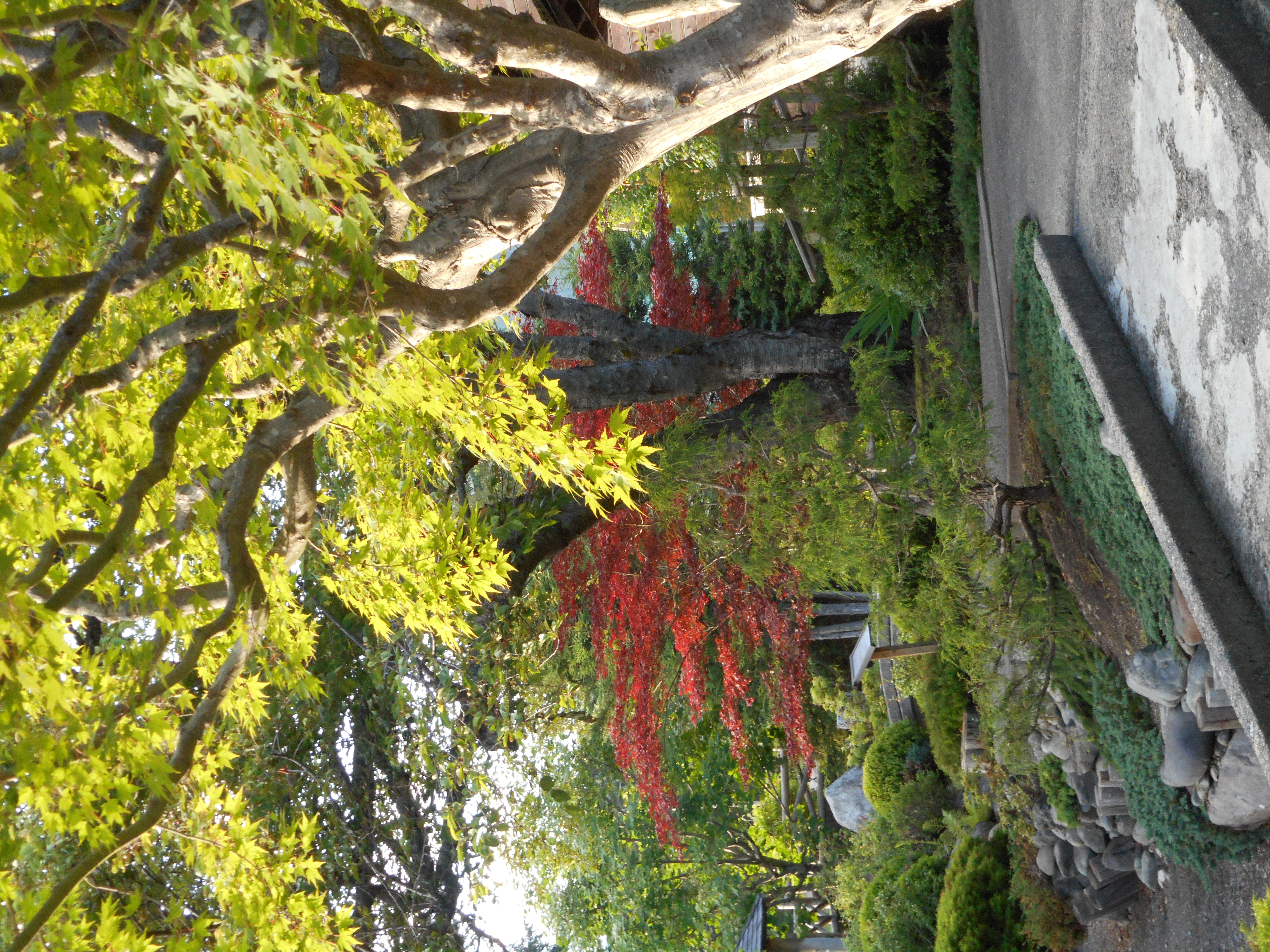 Heiwa Tien 2